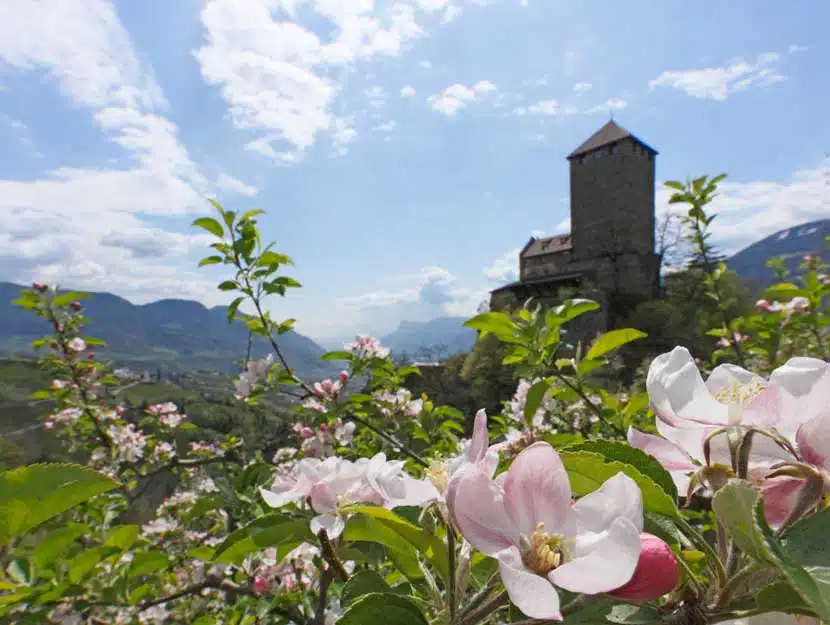 Puster The Puster Valley in South Tyrol - Feel Nature, Experience Tradition ...